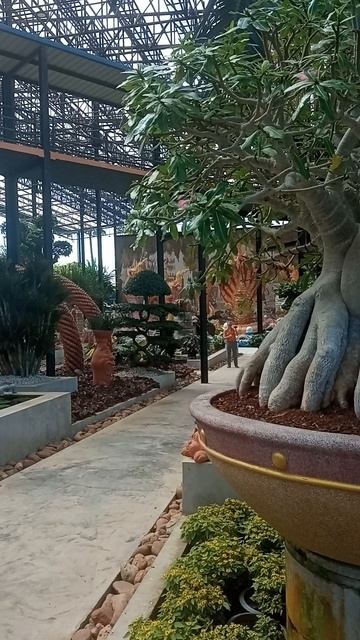 Здесь не бывает «слишком много зелени». Бывает — слишком мало внимания Что скрывает Nong Nooch? смотреть онлайн