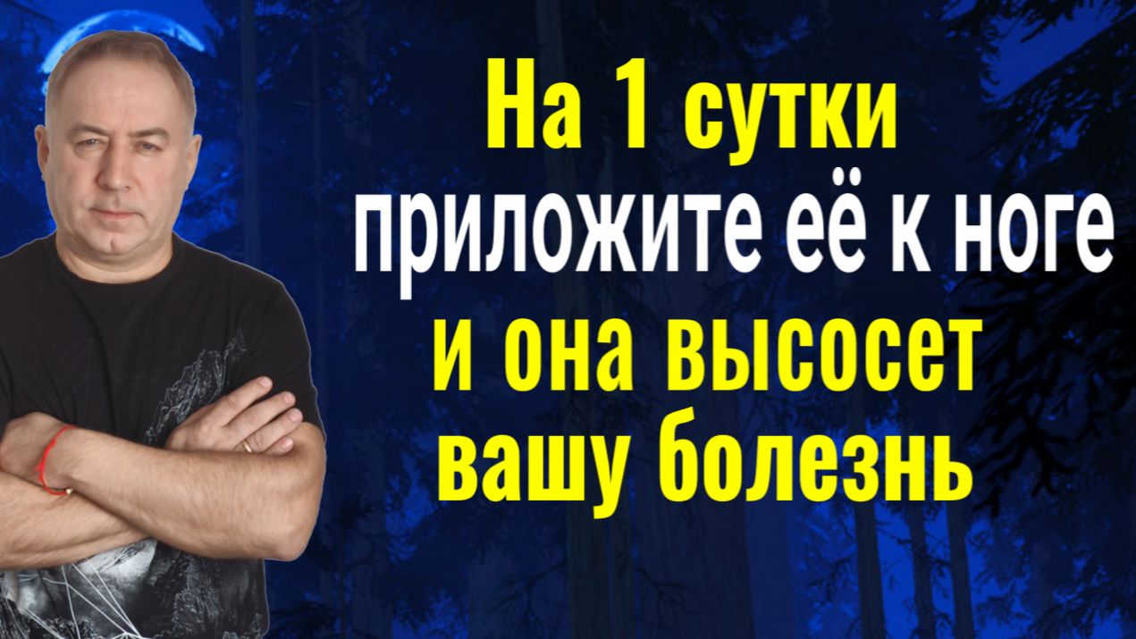 Работает с первого раза! На 1 сутки приложите её к ноге или другому месту и забудете про свой недуг смотреть онлайн
