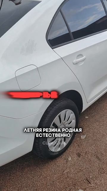 рапид кайф #clinlicar #automobile #автоподборспб #автоподбормосква смотреть онлайн