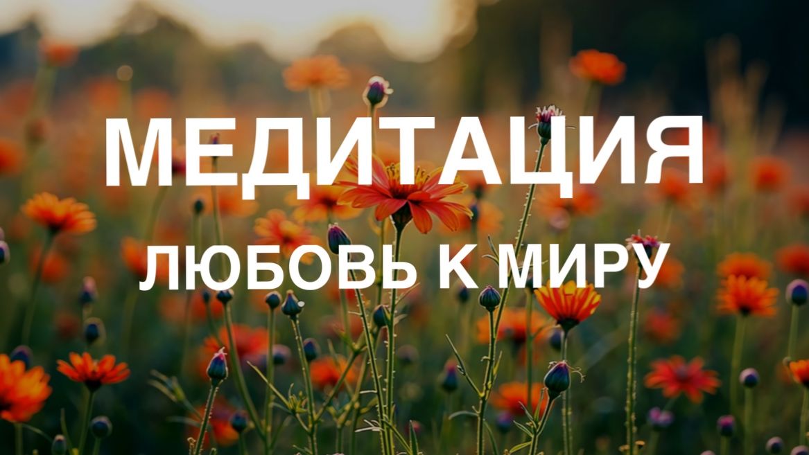 Медитация «Любящая доброта» | Научитесь дарить тепло себе и другим 💖