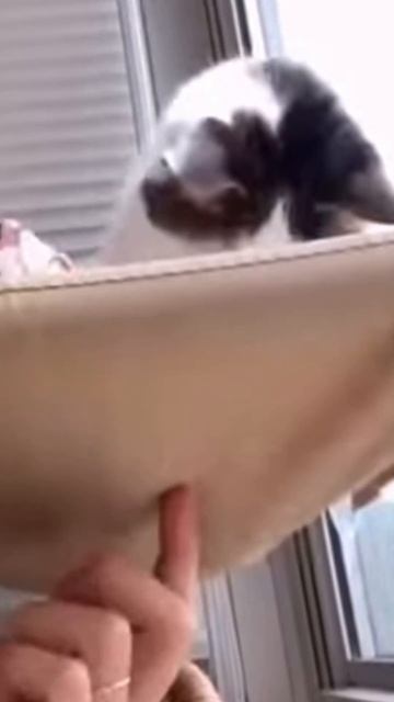 24 марта 2024 г. смотреть онлайн