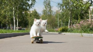 РАЗВЛЕКАТЕЛЬНОЕ ВИДЕО ДЛЯ ДЕТЕЙ