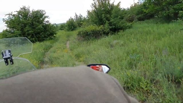 Путь к "Слову о полку Игореве"