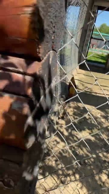 17 мая 2023 г. смотреть онлайн