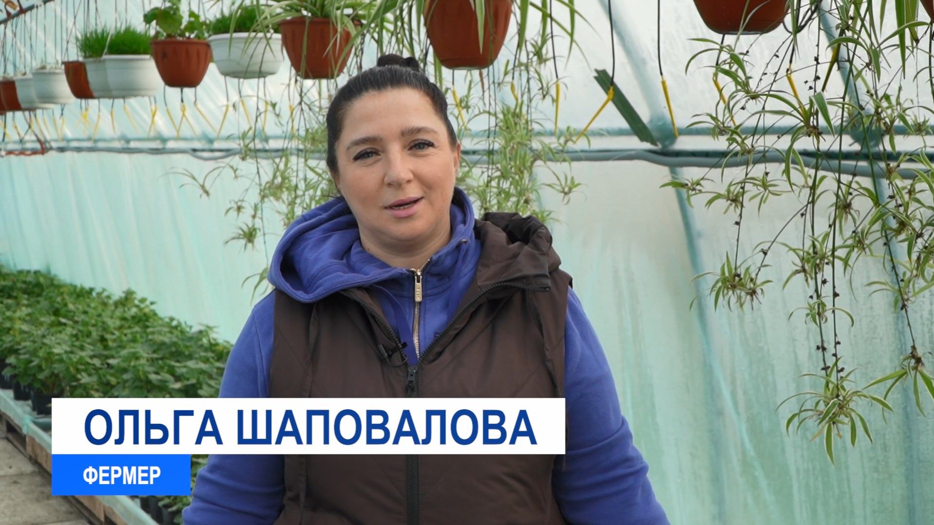 Ольга Шаповалова смотреть онлайн