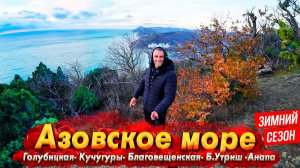 АЗОВСКОЕ МОРЕ- ГОЛУБИЦКАЯ И КУЧУГУРЫ. ПОЛЧИЩА МЕДУЗ НА ПЛЯЖЕ! НОВЫЙ ГОД В АНАПЕ- ЗАЖИГАЕМ ЁЛКУ!