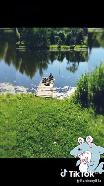 19 июня 2021 г. смотреть онлайн