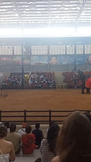 Этот слон играет в баскетбол ЛУЧШЕ меня Что скрывает шоу слонов в Nong Nooch? смотреть онлайн