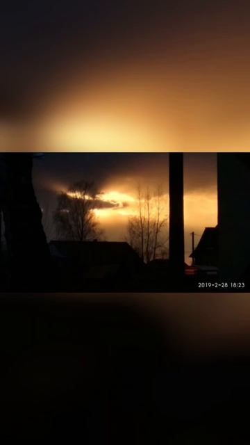 Архив за 2019 г. (13) #природа#жизнь