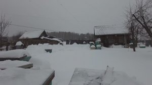 Зимние работы, получаем пергу, проверка зимовки пчел