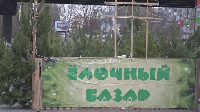 Ёлочные базары в Старом Осколе начнут работу с 18 декабря смотреть онлайн