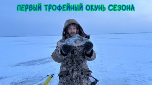 Первый трофейный окунь сезона. Рыбачим на таежном озере #рыбалка #окунь #deeper #зимняярыбалка