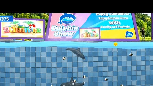 Dolphin Show смотреть онлайн