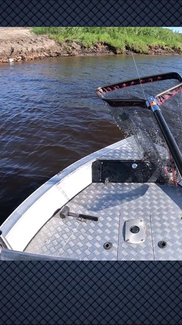 Опа!!! Клюнула! смотреть онлайн