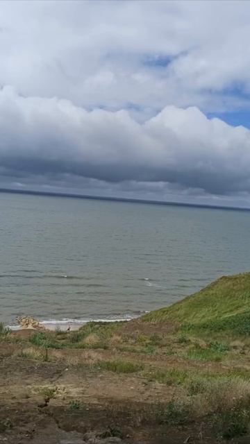 28 июня 2024 г. смотреть онлайн