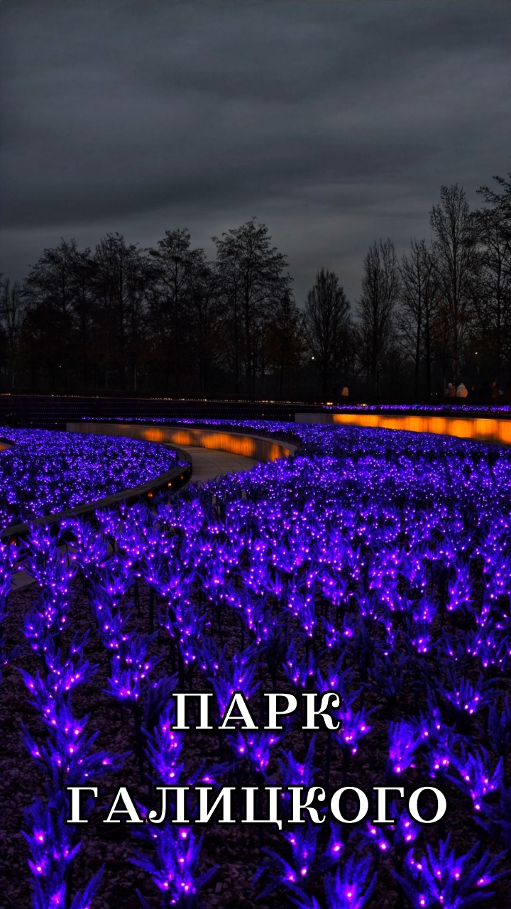 Парк Галицкого Краснодар декабрь 2025 смотреть онлайн
