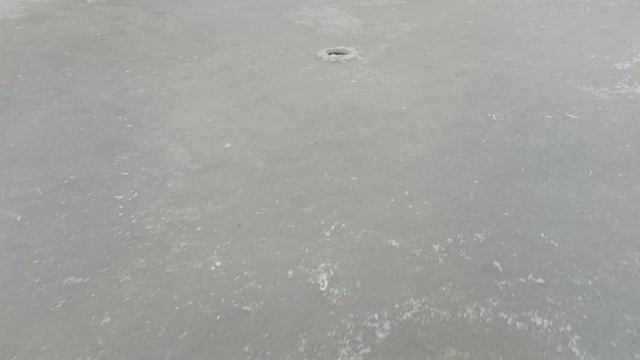 Обзор водоёма в Липках.