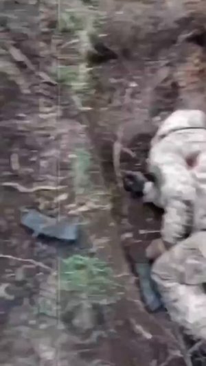 Гуляйпольское направление: пленные ВСУ