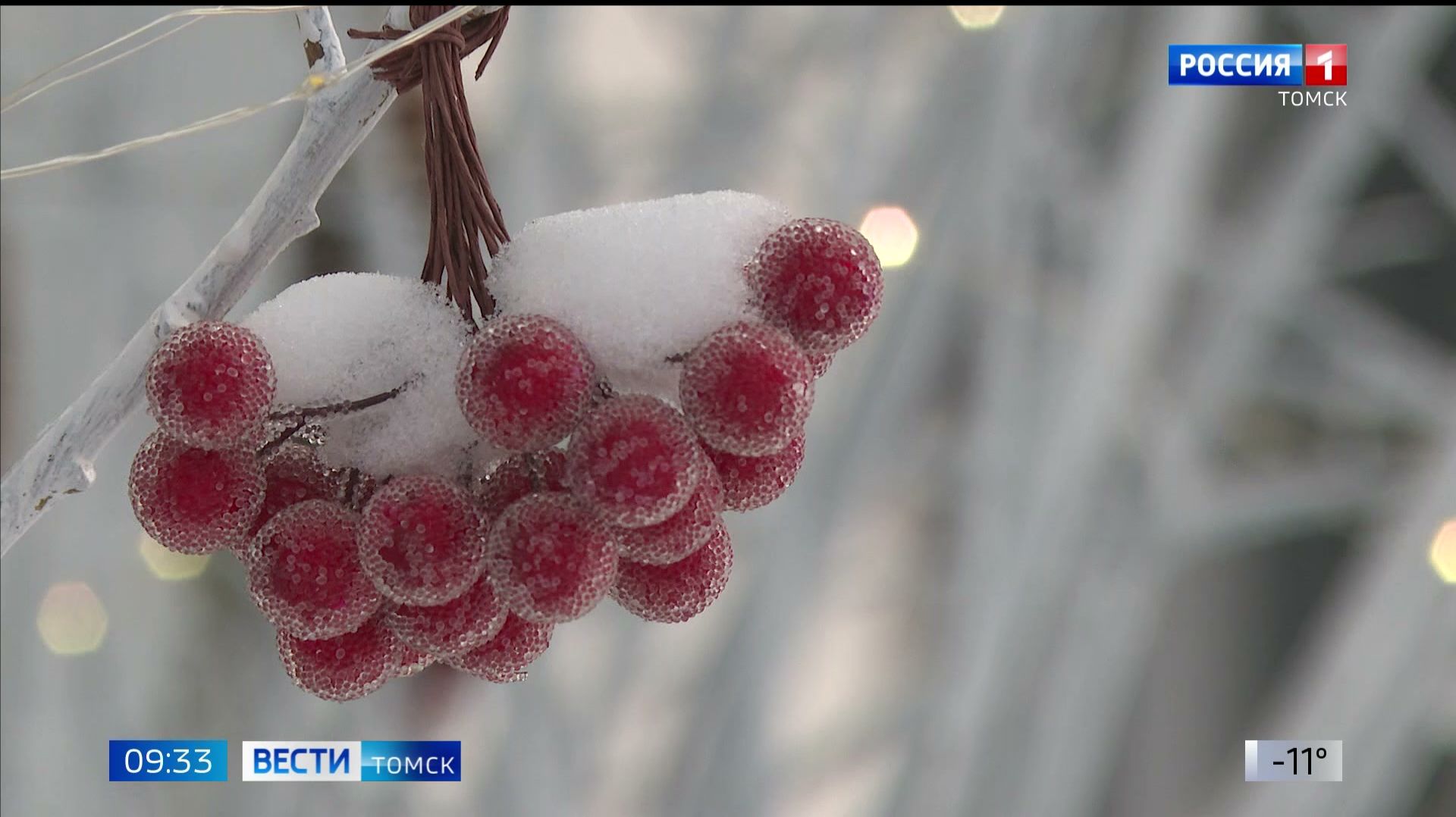Вести-Томск, выпуск от 16.12.2025 09:30 смотреть онлайн