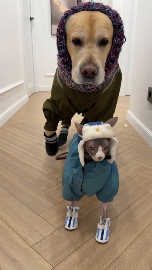 Точно не замерзнет 😁