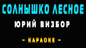 Караоке солнышко лесное