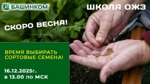 Время выбирать сортовые семена! Подготовься к будущей весне с экспертами! Школа ОЖЗ 16.12.2025