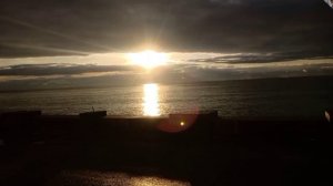 КАЖДОЙ ТВАРИ ПО ПАРЕ