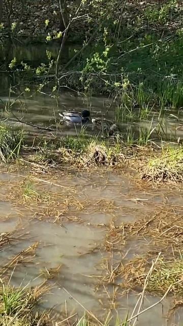 1 мая 2024 г. смотреть онлайн