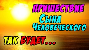Так будет в Пришествие Сына Человеческого… Христианские проповеди