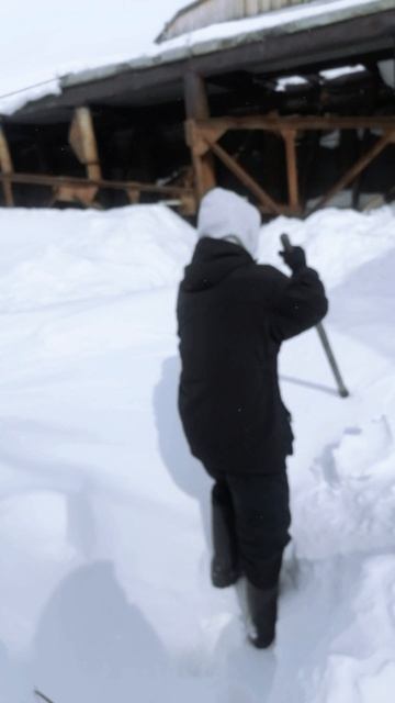 Салехард#КПЛ89