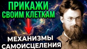 Скажи Клеткам ЭТИ 2 СЛОВА—тело начнет МГНОВЕННО исцеляться! Секретный протокол академика Вернадского