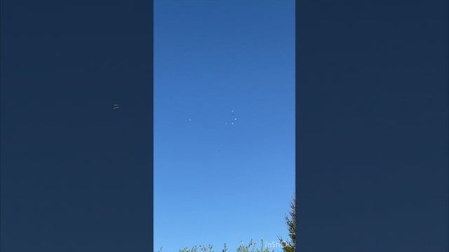 ️Красивое видео с голубями ️ смотреть онлайн