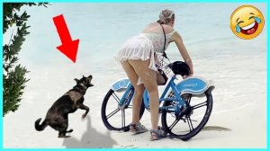 Самое смешное видео и самые неудачные моменты 😂