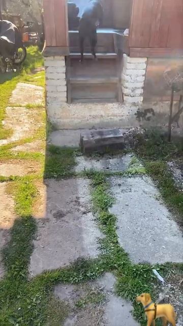 16 мая 2023 г. смотреть онлайн