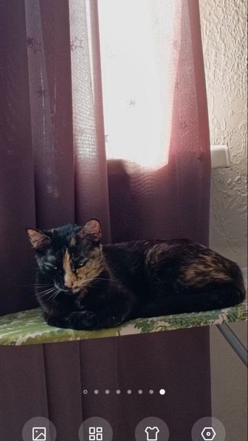 нет роблокс