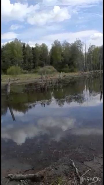 14 мая 2023 г. смотреть онлайн