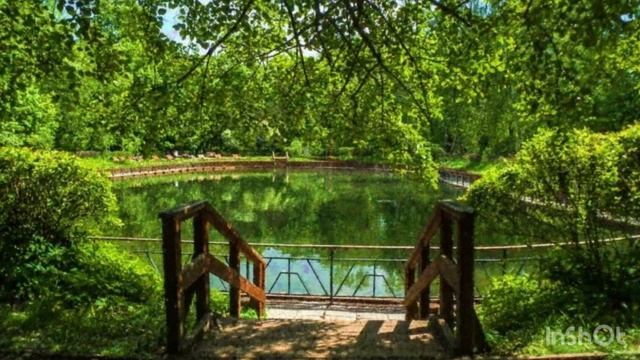 Парк культуры и отдыха Сокольники 2023 смотреть онлайн