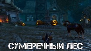 СУМЕРЕЧНЫЙ ЛЕС WoW Sirus - Neverest x3 #18 ХК