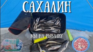 Сахалин - кто куда , а мы на рыбалку
