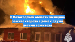 В Вологодской области женщина заживо сгорела в доме с двумя детьми сожителя