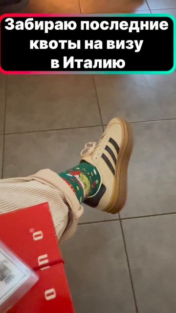 Последние квоты на визу в Италию!