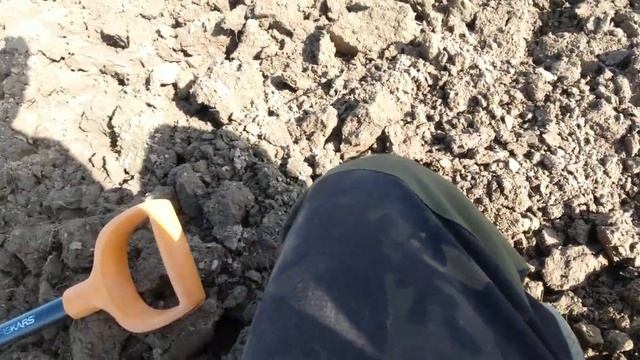 Летний поиск с Металлоискателем Nokta Legend! #коп