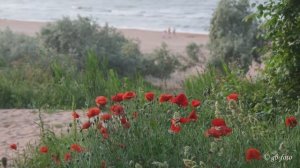 Пересыпь отпуск 2025 на Азовском море