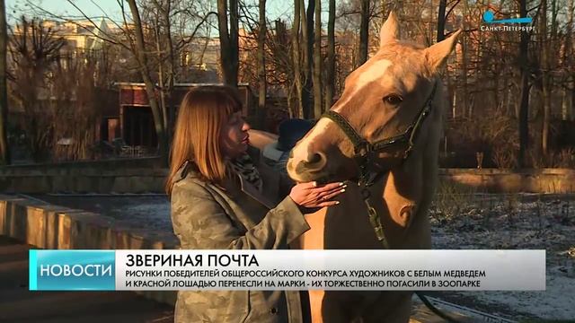 Животных Ленинградского зоопарка изобразили на новогодней серии почтовых марок смотреть онлайн