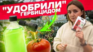 РАЗНИЦА УДОБРЕНИЙ И ПРЕПАРАТОВ ОТ ВРЕДИТЕЛЕЙ