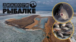 Карасиное царство! Рыбалка на оз.Чаны с командой "Диалоги о рыбалке"