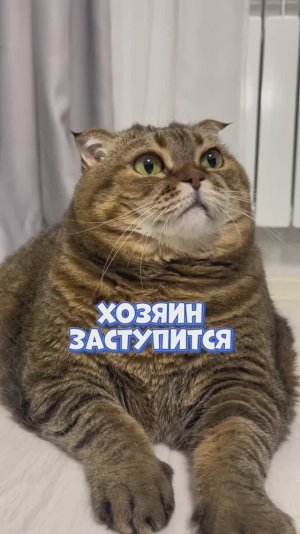 Хозяин не промолчит 😀