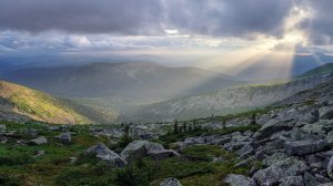 Стрим 🔴 Руся IN Пипонька и Другие Обитатели Интернета!!!!!!!!!)))))