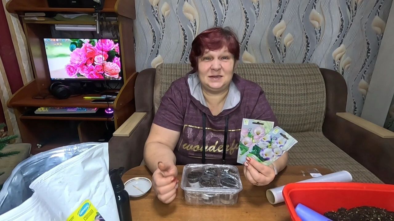 ЭУСТОМА БУДЕТ!! Сроки и Способы посева Эустомы!!