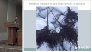 ЮгАгро 2025 Изобилие в условиях засухи и высоких температур. часть 2